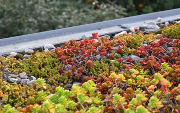 the cost of Minsterley green roof installation